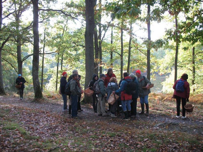 2008-10-Mycologie avec l'ANY